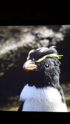 51f444772970417's profile picture. 