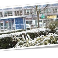 CarshaltonCollege LC (@carshaltonlc) 's Twitter Profile