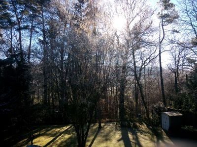 cheroex_D's profile picture. 