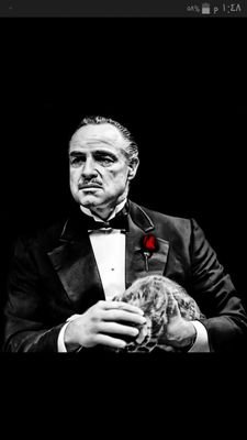 v_i_pi's profile picture. izmirli