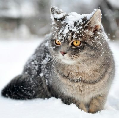 7TZyGntWzHb6mFO's profile picture. 