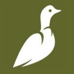 Ornithomedia Profile Picture