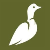 Ornithomedia(@Ornithomedia) 's Twitter Profile Photo