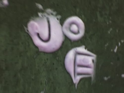 JoePalestina's profile picture. 