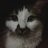 kedipascal's profile image