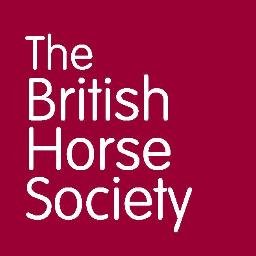 Fulfilling your passion for horses through Education, Access, Welfare and Safety