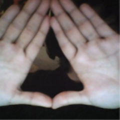 ToldGaming's profile picture. The official twitter of me 
I don't have dreams because I will make it a reality one day