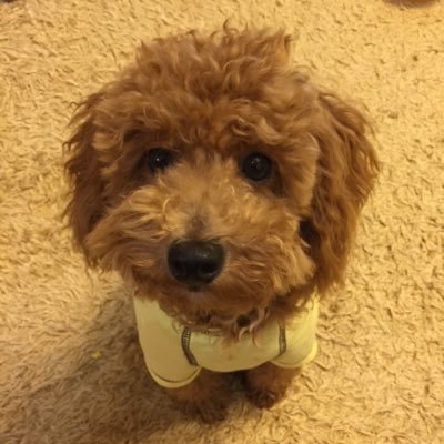 ymnktks1's profile picture. 使い方がわかりません。