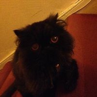 Sam Thomas (@_s_n_t) 's Twitter Profile