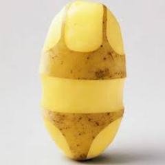 PotatoEgg2000's profile picture. Friend of Chris