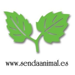 Sendaanimal's profile picture. Con un biólogo al frente. Nos dedicamos al fauna exótica, alimento vivo, producto, asesoramiento, creación de terrarios, plantas y senda acuática