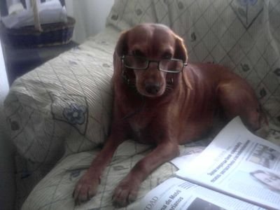 Antonio97259217's profile picture. 