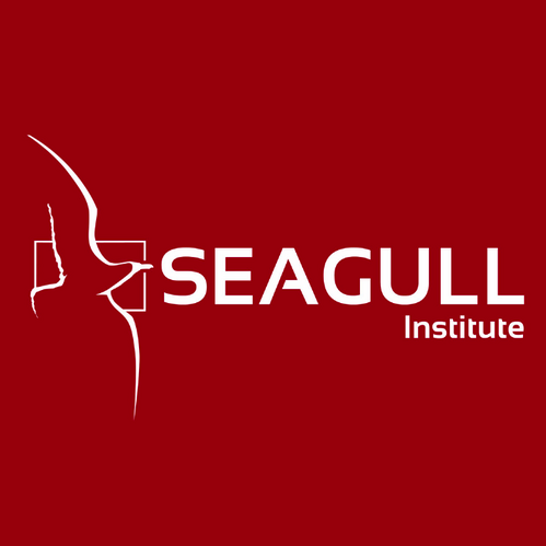 Seagull Institute aims to help international students achieve their goals through Business, Management, Marketing Communications or Sports Management.