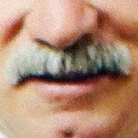 Coach Q's mustache (@coachqsmustache) 's Twitter Profile Photo Coach Q's mustache (@coachqsmustache) 's Twitter Profile Photo