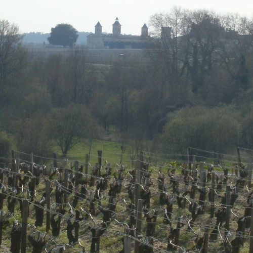 climatecapital's profile picture. Regular guys dedicated to saving the planet through innovation.