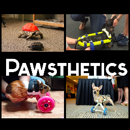Prosthetics for animals made using cutting edge #3dprinting technology