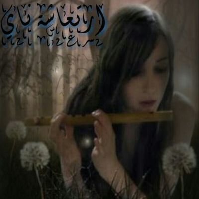 tootoo111ttt111's profile picture. 