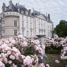 kyprpg's profile picture. RPG Twitter : toutes les informations se trouvent dans nos photos. // Personnages pris dans nos favoris. // Inscriptions en dm