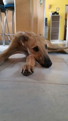 comba_eugenia's profile picture. Bioquímica, docente en nivel secundario. Mamá de tres varones únicos y esposa de un hombre excepcional. Dichosa con la vida que tengo. Más no puedo pedir.