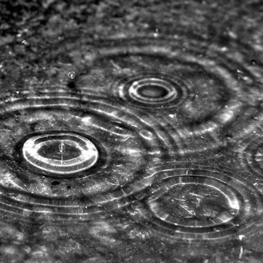 ItWorkedBefore's profile picture. Introvert trying to Extrovert a little.
#WynonnaEarp #Earpers #MusicHeals #Grayace