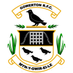 Gowerton RFC (@gowertonrfc) Twitter profile photo