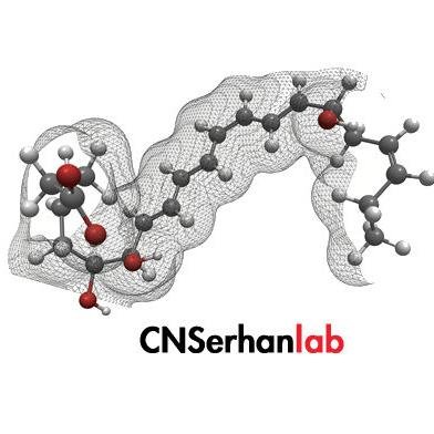 CNSerhanLab Profile Picture