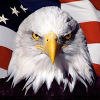 Rob Ninkovich (@ninko50) 's Twitter Profile Photo Rob Ninkovich (@ninko50) 's Twitter Profile Photo