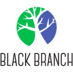 blackbranchllc's profile picture. Corporate strategy, business development and marketing support for companies growing #Federal #healthit sales goals at Defense and Civilian Health Agencies