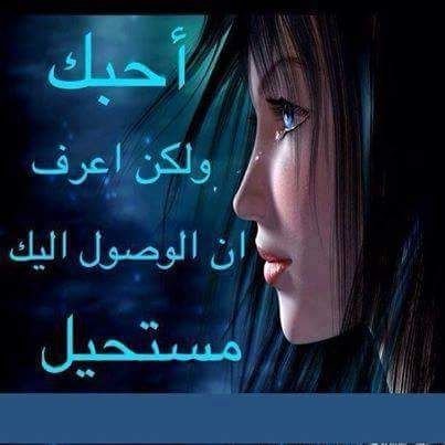 VZ7UpIcSTQE6ecF's profile picture. 