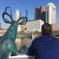 Michael Arace (@michaelarace1) 's Twitter Profile