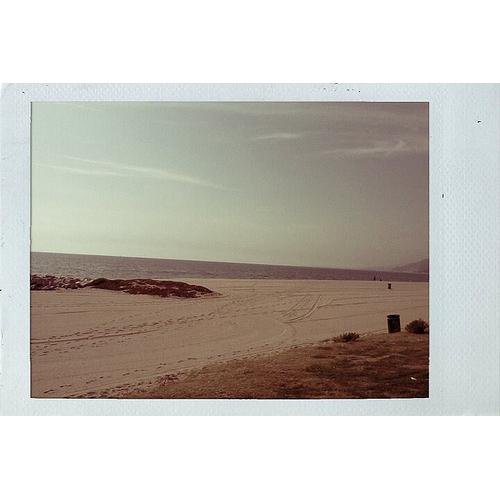 pntskt's profile picture. i like to paint and roller skate 🌿🌈🌻