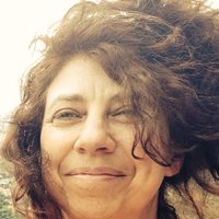 Andrea Carr (@andreavfcarr) 's Twitter Profile