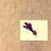 Rien (@egoduciel) Twitter profile photo Rien (@egoduciel) Twitter profile photo