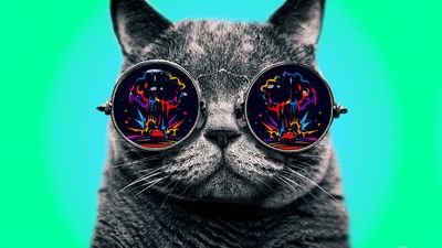 shaosterz's profile picture. Hi