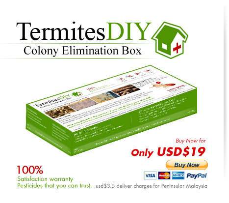 TermitesDIY colony elimination box, your affordable professional termite control for residential & commercial.