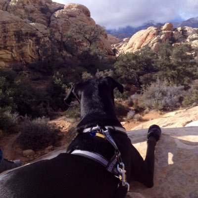 NiC_OC's profile picture. https://t.co/GtV68aepii