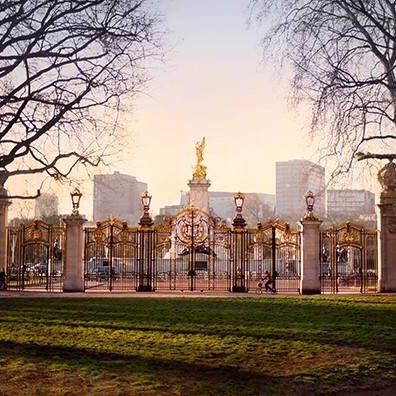 2VaTJPfEpnGInl1's profile picture. 