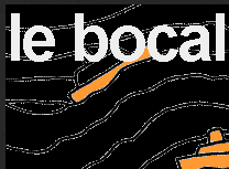 le bocal du ponyo