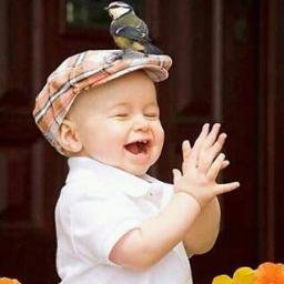 013Barora's profile picture. 