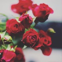 Hadoosh (@hadoosh_009) 's Twitter Profile