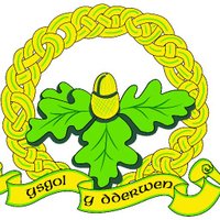 Ysgol Gymraeg Y Dderwen (@ysgolydderwen) 's Twitter Profile