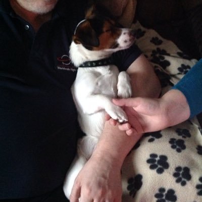 Hahabud's profile picture. 