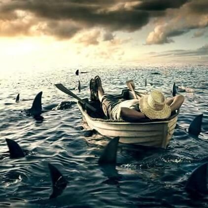 perniliberico's profile picture. 