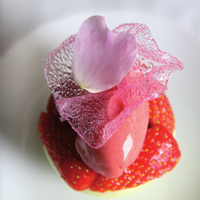 Gastronomica (@gastronomeik) 's Twitter Profile