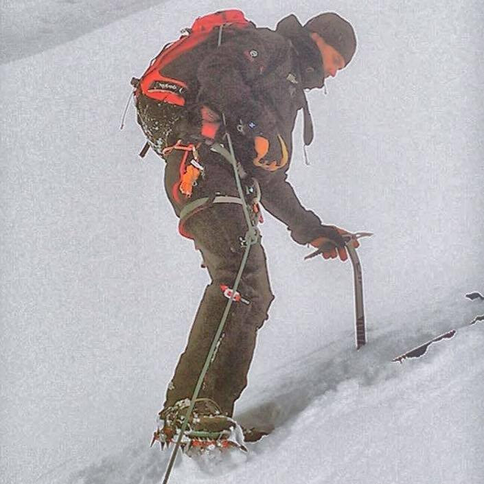 gipfeltraum's profile picture. 