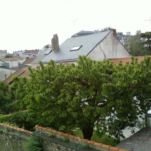 francoiseb09's profile picture. Par la fenêtre, regarder la vie...