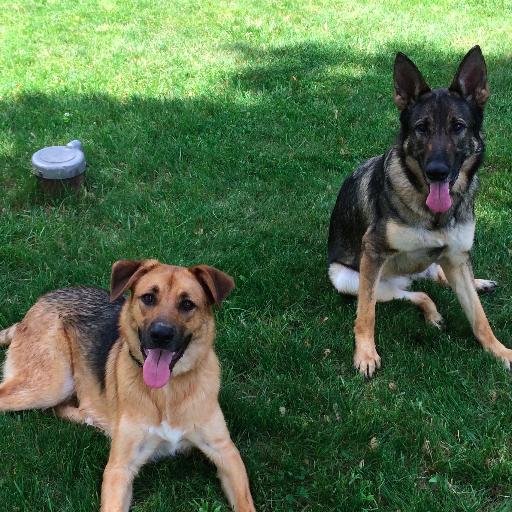 mhawley_de's profile picture. Supervisor of Mathematics, Science and Gifted Services (and other duties as assigned!)