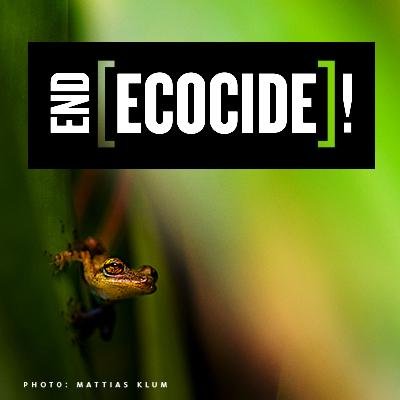 End Ecocide Sweden arbetar för ekocid, storskalig miljöförstöring, som internationellt brott inom ICC.
Partner of Stop Ecocide Foundation @ecocidelaw