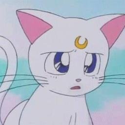 SubsideDeceives's profile picture. Player for @SubsideSection