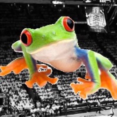 Official Twitter of your Treefrogs! #AreYouFroggy